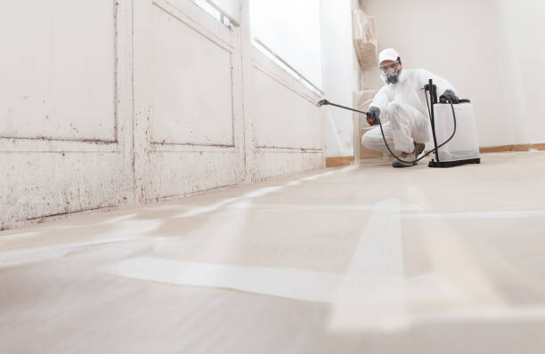 24/7 Emergency Attic Mold Remediation experts in Unionville, PA