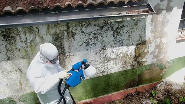 Top rated local Attic Mold Remediation specialists in Unionville, PA